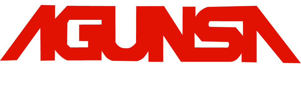 agunsa