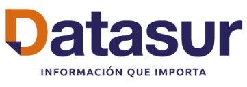 datasur-logo-header